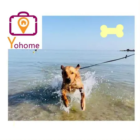 Zara D'amare A 10 Metri Dalla By Yohome *