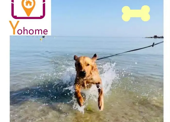 Zara D'amare A 10 Metri Dalla By Yohome *